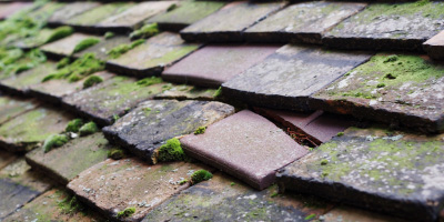 Berghers Hill roof repair costs